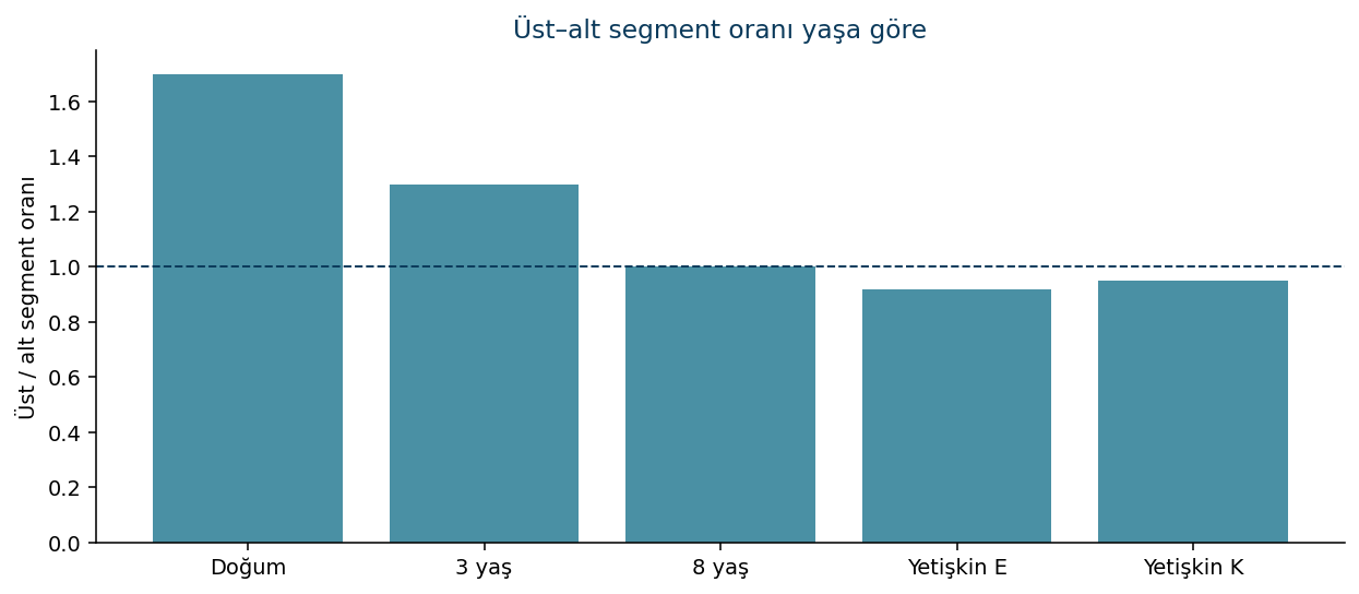 Üst alt segment oranı