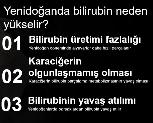 Yenidoğan sarılığı — bilirubin yükselmesi nedenleri